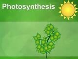 Photosynthesis 01