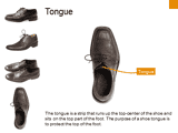 Parts of a Shoe 01