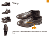 Parts of a Shoe 02