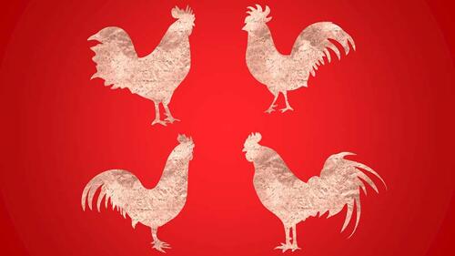 PowerPoint Rooster Designs