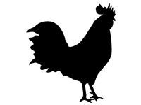 Rooster Design Shapes for PowerPoint