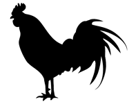 Rooster Design Shapes for PowerPoint