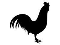 Rooster Design Shapes for PowerPoint