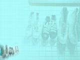 Footwear PowerPoint Templates