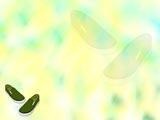 Slip Ons PowerPoint Templates