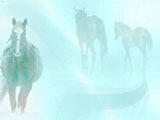 Horse PowerPoint Templates