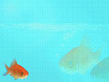 Fish 07 PowerPoint Template