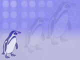 Penguin PowerPoint Templates