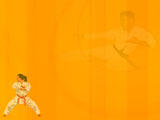 Karate PowerPoint Templates