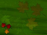 Maple Leaves PowerPoint Templates