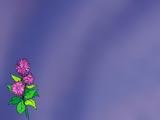Dahlia PowerPoint Templates