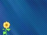 Sunflower PowerPoint Templates