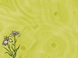 Iris PowerPoint Templates