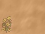 Blackeyed Susans PowerPoint Templates