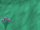 Calla Lilies PowerPoint Templates