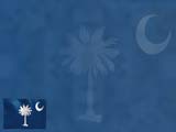 South Carolina Flag PowerPoint Templates