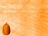 Pumpkin PowerPoint Templates