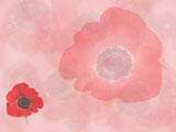 Remembrance Day PowerPoint Templates