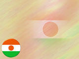 Niger Flag PowerPoint Templates