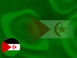 Western Sahara Flag PowerPoint Templates