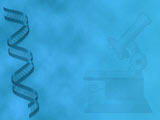 DNA PowerPoint Templates