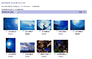 Searches And Lightboxes