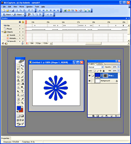 ALLCapture editing environment ALLCapture editing environment