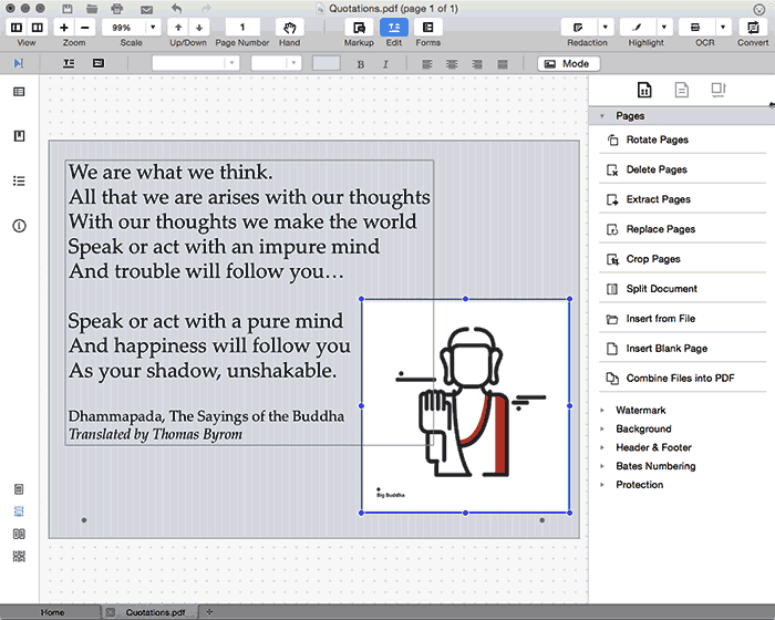 Swapped image in PDF Swapped image in PDF