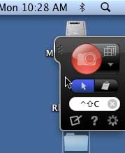 Snagit Capture window Snagit Capture window