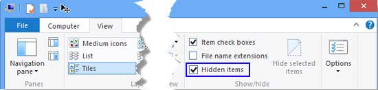 Hidden Items check-box selected