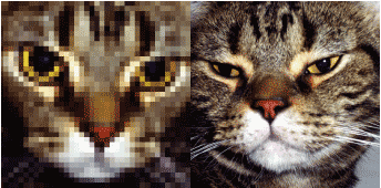 The physical size of an image