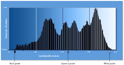 Read and Respond to a Histogram Read and Respond to a Histogram