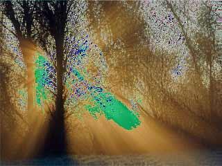 Color - Mod applies unnatural scattered color effects