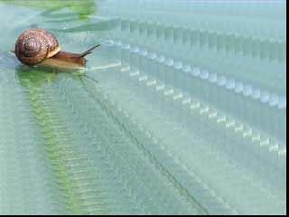 Utility - Repeats generates repeated elements of the underlying image