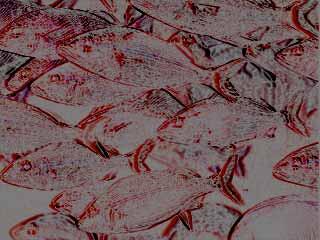 Edged - SourceEdge applies a dark, edgy effect with different color values