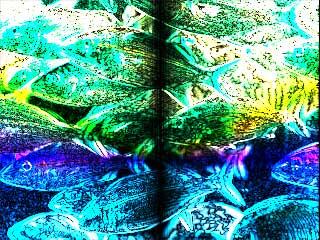 Gradient - Coarse generates a very unnatural look by applying a gradient overlay