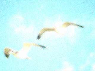 Noise - Fuzzy generates extreme and fuzzy noise effects Noise - Fuzzy generates extreme and fuzzy noise effects