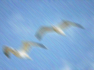 Smear - Campaign -- applies grainy smear effect with lots of variations to choose from Smear - Campaign -- applies grainy smear effect with lots of variations to choose from