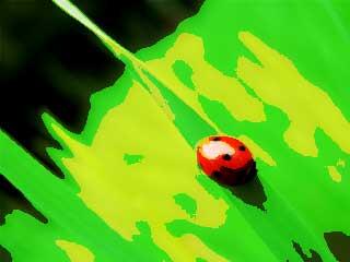 Threshold - Shift generates shimmering and noisy effects with grain and blur