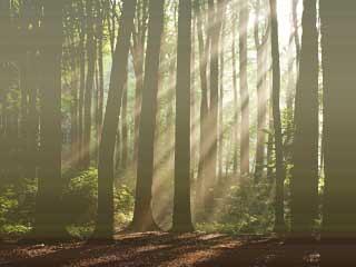 Smear - MistyBlock - generates a misty effect