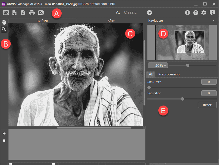 Image opened in AKVIS Coloriage AI 15.5 Image opened in AKVIS Coloriage AI 15.5