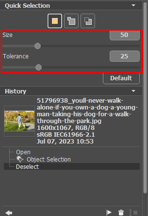 Settings for the Quick Selection tool