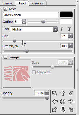 Text tab within the Settings Panel Text tab within the Settings Panel