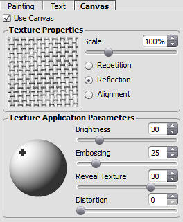 Canvas tab within the Settings Panel Canvas tab within the Settings Panel