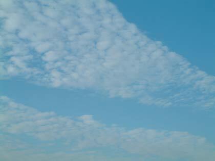 Background image Background image