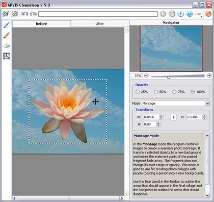 AKVIS Chameleon Interface AKVIS Chameleon Interface