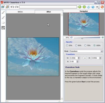 The Before and After tabs The Before and After tabs