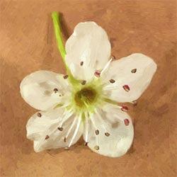  Before and After samples created using AKVIS Oil Paint: