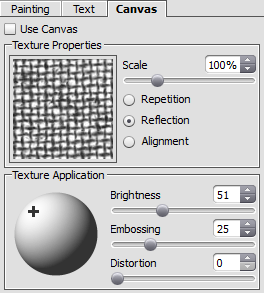 Canvas tab within the Settings Panel Canvas tab within the Settings Panel