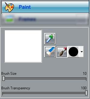 Paint panel tools and parameters Paint panel tools and parameters